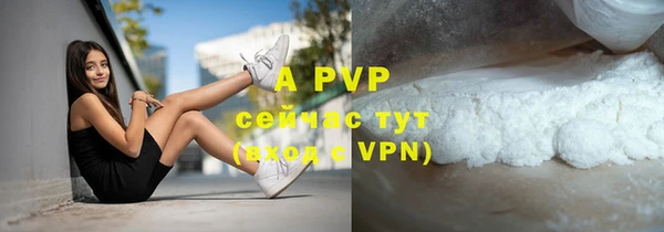 МДПВ Елабуга