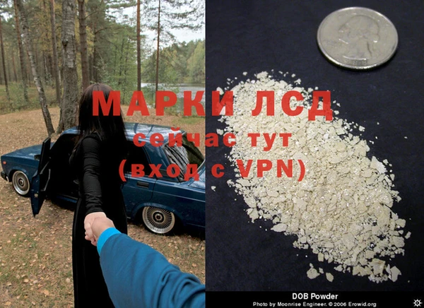 прущая мука Ельня