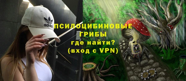 прущая мука Ельня