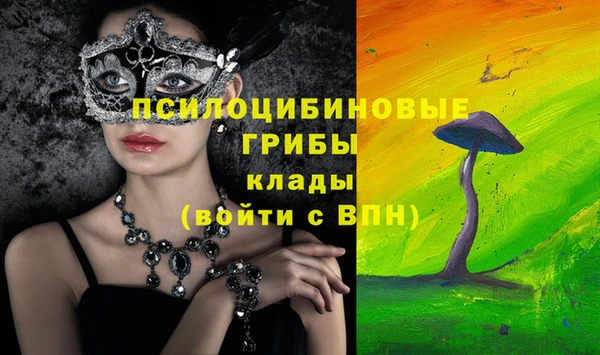 МДПВ Елабуга